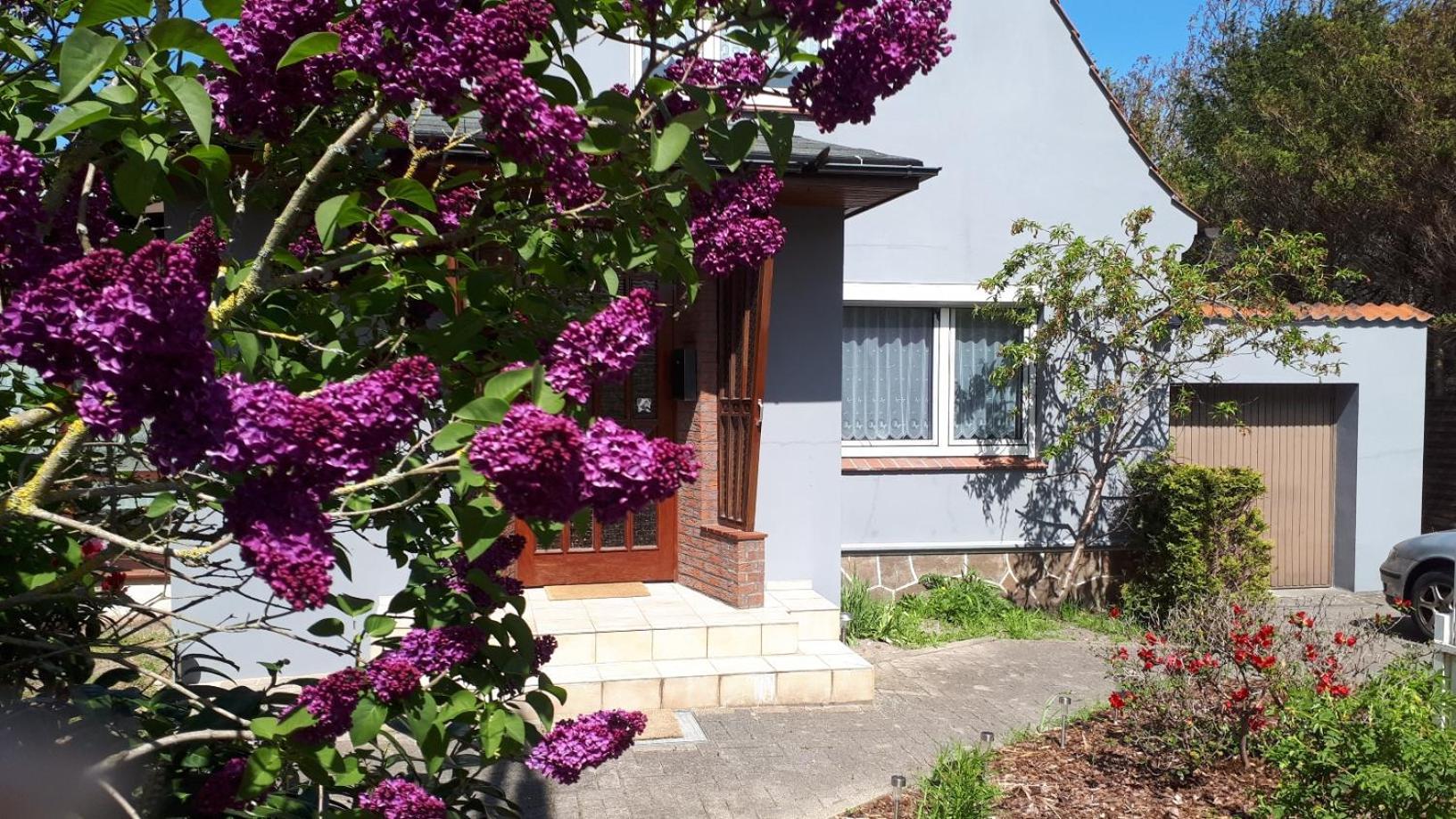 Ferienhaus Zur Waldfee Κουξχάφεν Εξωτερικό φωτογραφία